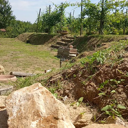 Rive Rosse